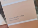 DULUX WEATHERSHILED PRO DS QUEEN CORAL GL A (AA)