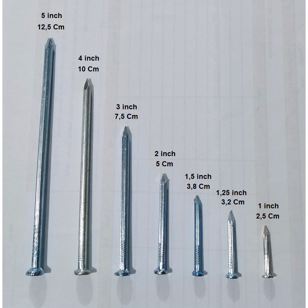 PAKU BAJA PUTIH 10CM - 4 INCH