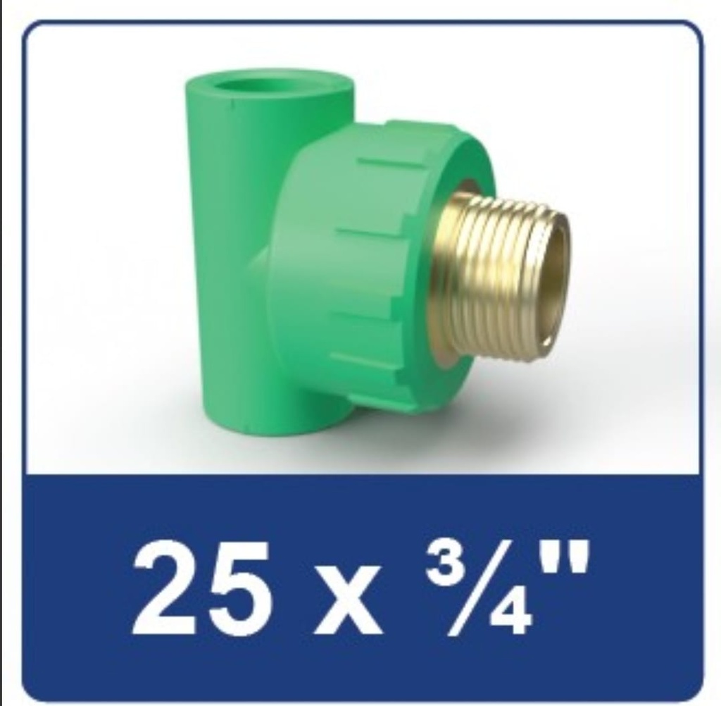 PPR MALE THREAD TEE 25X 3/4 RUCIKA