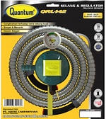 REGULATOR QUANTUM
