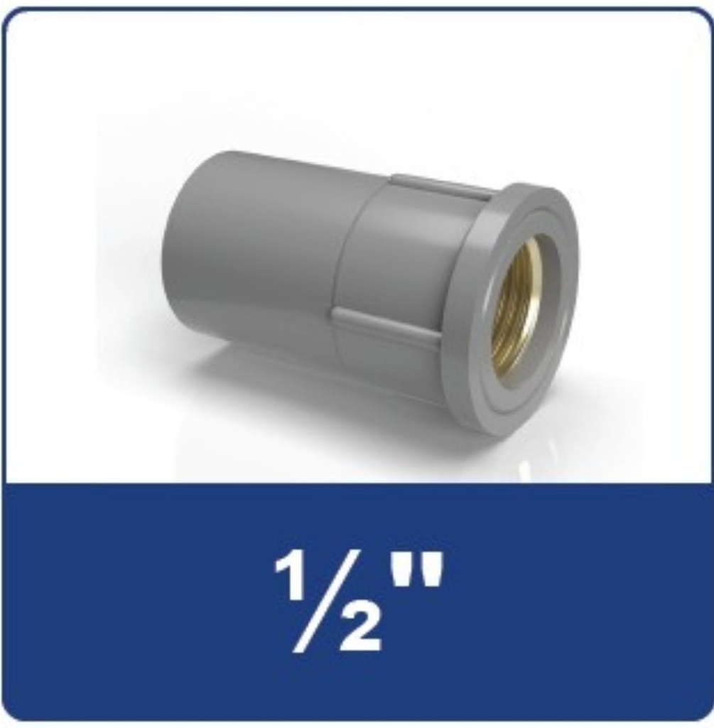 SDD SOCK DRAT DALAM 1/2 KUNINGAN RUCIKA MI (METAL INSERTED) (AA)