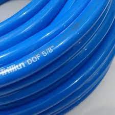 SELANG 5/8 TRILLIUN DOF (AA)