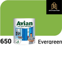 AVIAN 650 EVERGREEN 900CC