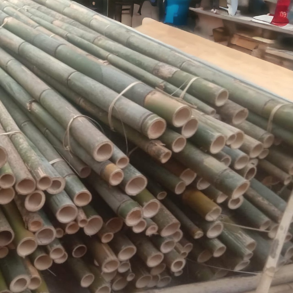 BAMBU PANJANG +/- 7,5M