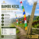 Bambu Kecil