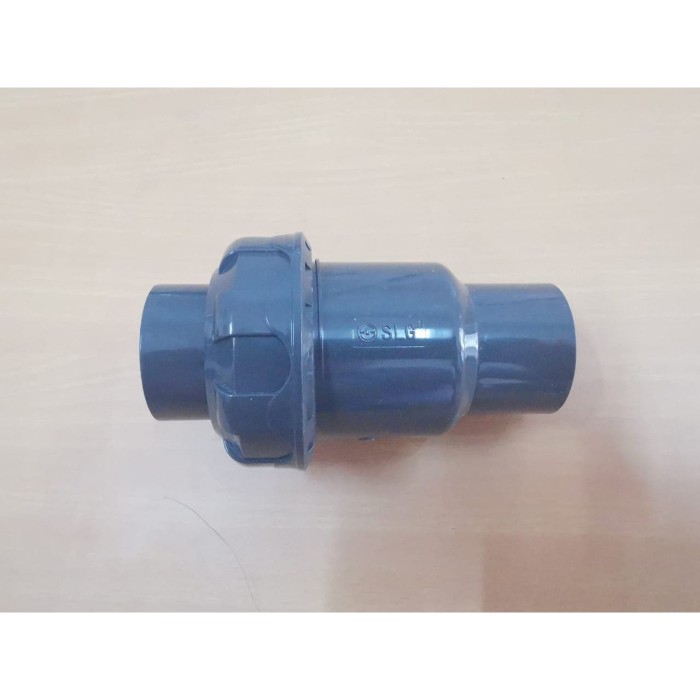 CHECK VALVE 1 INCH SLG PBC (AA)