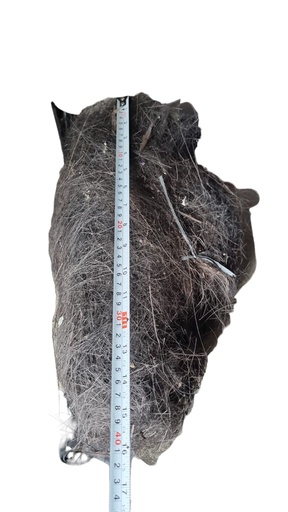 [72120] IJUK - RESAPAN