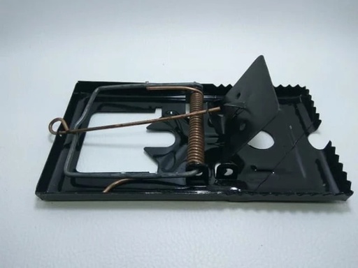 [755879693] JEPRETAN TIKUS