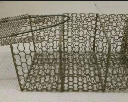 [75587971] KRANGKENG TIKUS