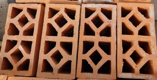 [7601122] LOSTER MERAH 10/20