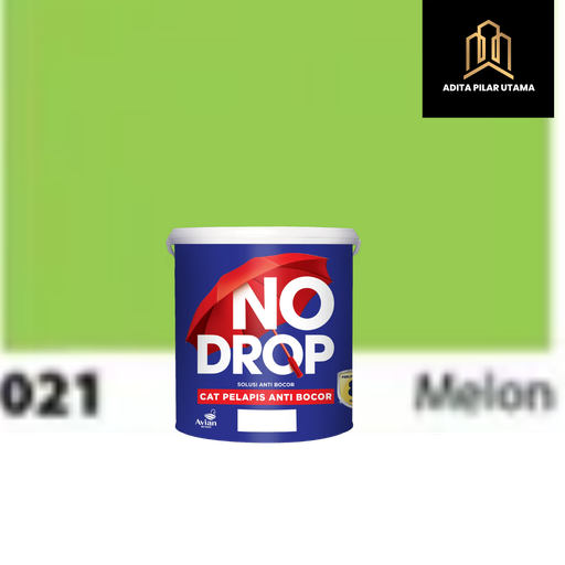 [1609031] NO DROP 021K MELON