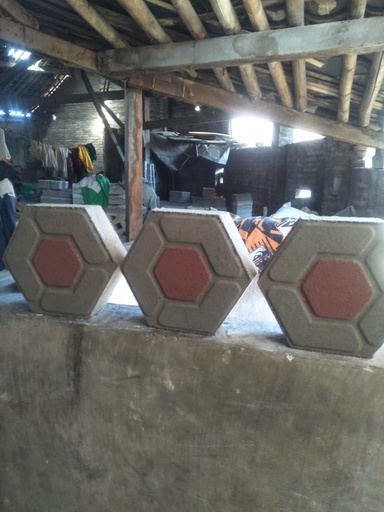 [2208023] PAVING SEGIENAM 5 CM KOMBINASI GAYABARU