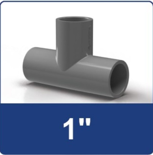 [7555138 T1D] TEE 1 DIM RUCIKA AW