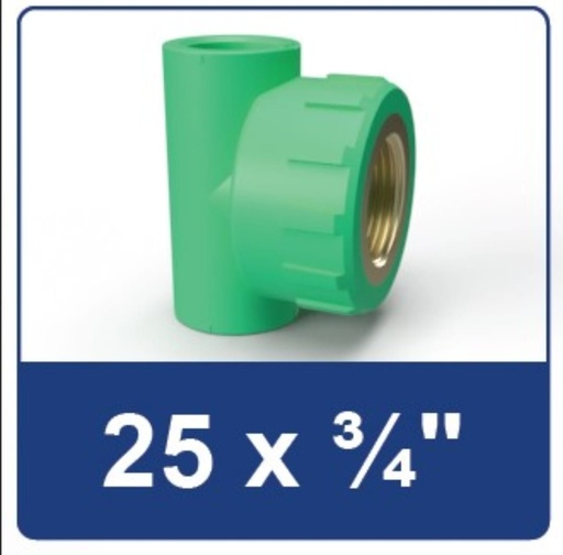 [2406028] PPR FEMALE THREAD TEE 25X 3/4 RUCIKA