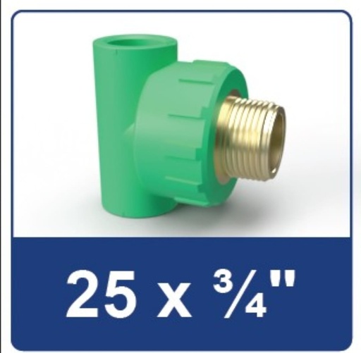 [2406022] PPR MALE THREAD TEE 25X 3/4 RUCIKA