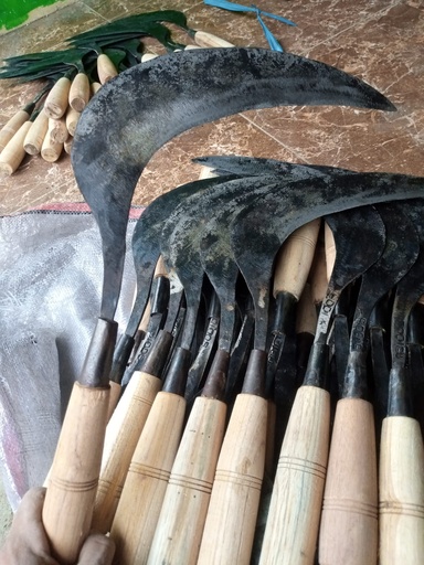 [2103009 (AA)] ARIT BAGUS - PURWODADI (AA)