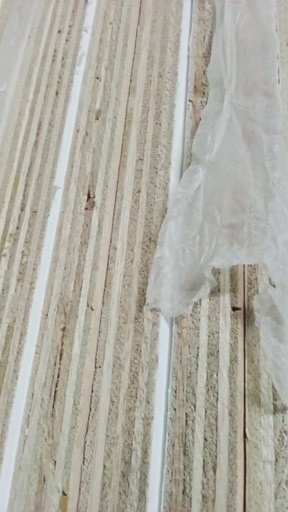 [190920241122] TRIPLEX MELAMIN 18mm (122X244CM)