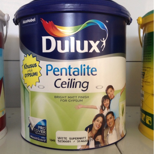 [071020241727 9AA)] DULUX PENTALITE CEILING A923 (5KG) (AA)