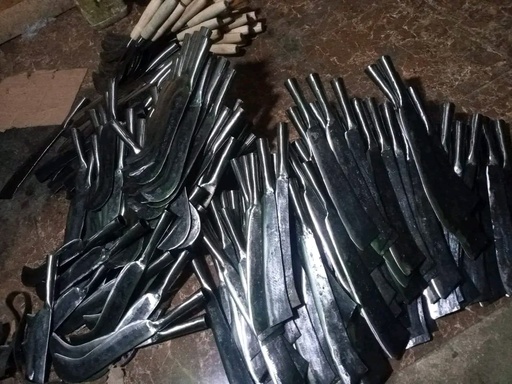 [191220241006 (AA)] BENDO BAGUS - PURWODADI (AA)