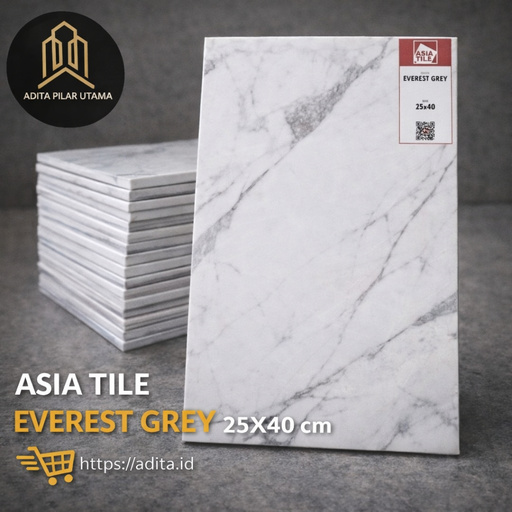 [300120261318 (AA)] KERAMIK 25/40 ASIA EVEREST GREY @10 kw1 (AA)