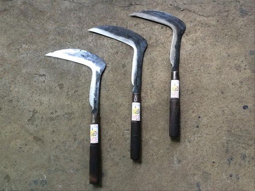 [1701048] ARIT BABATAN - B6