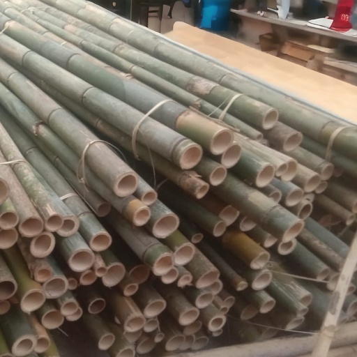 [69111582] BAMBU PANJANG +/- 7,5M